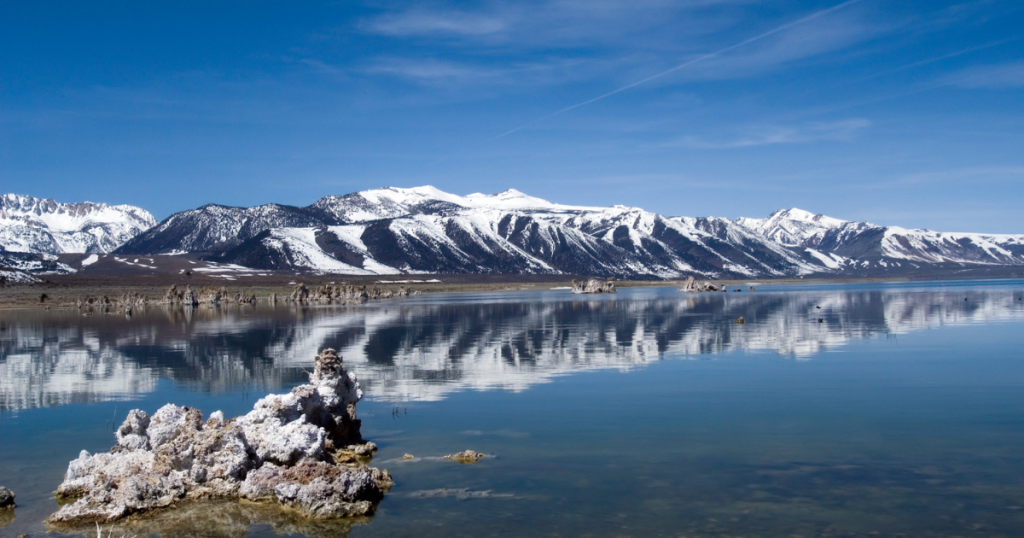 Restoration Work Makes Strides in Mono Basin