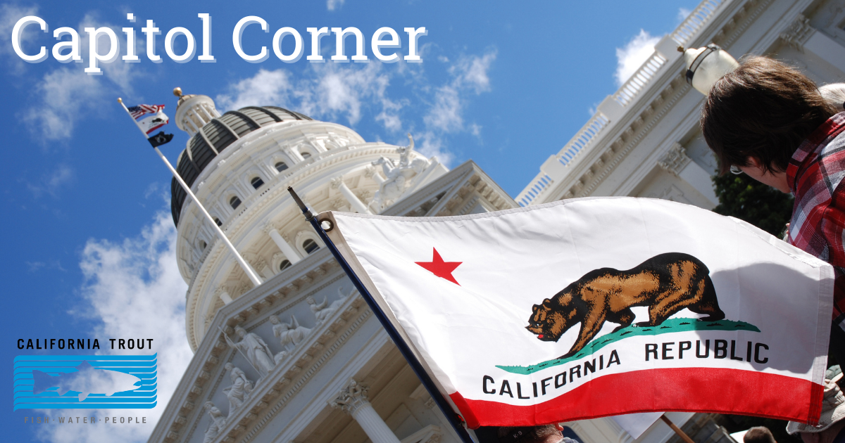 Capitol Corner: Summer in Sacramento - caltrout.org
