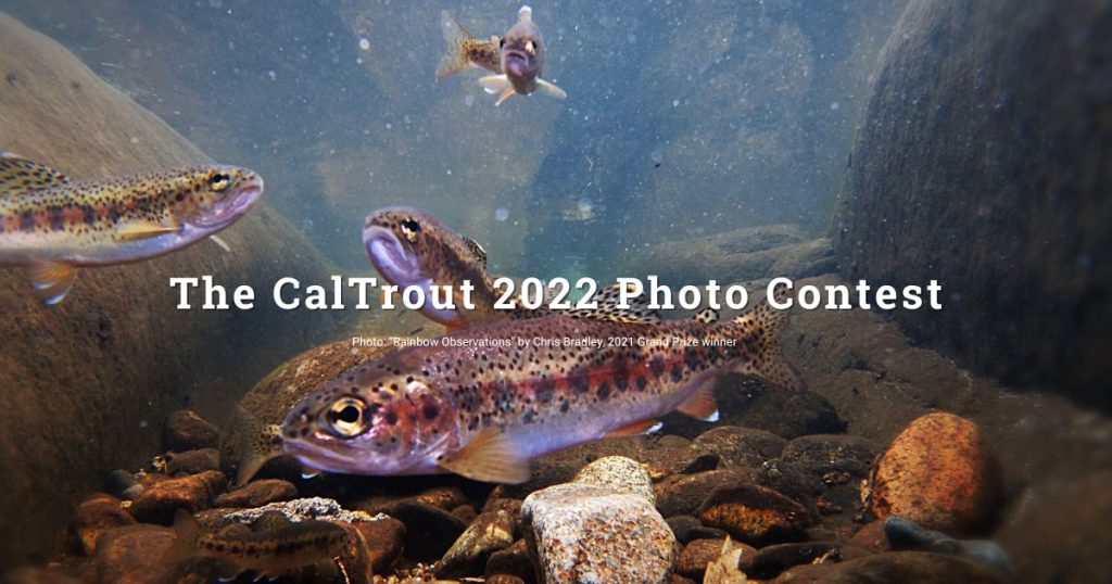 Enter CalTrout’s 2022 Photo Contest