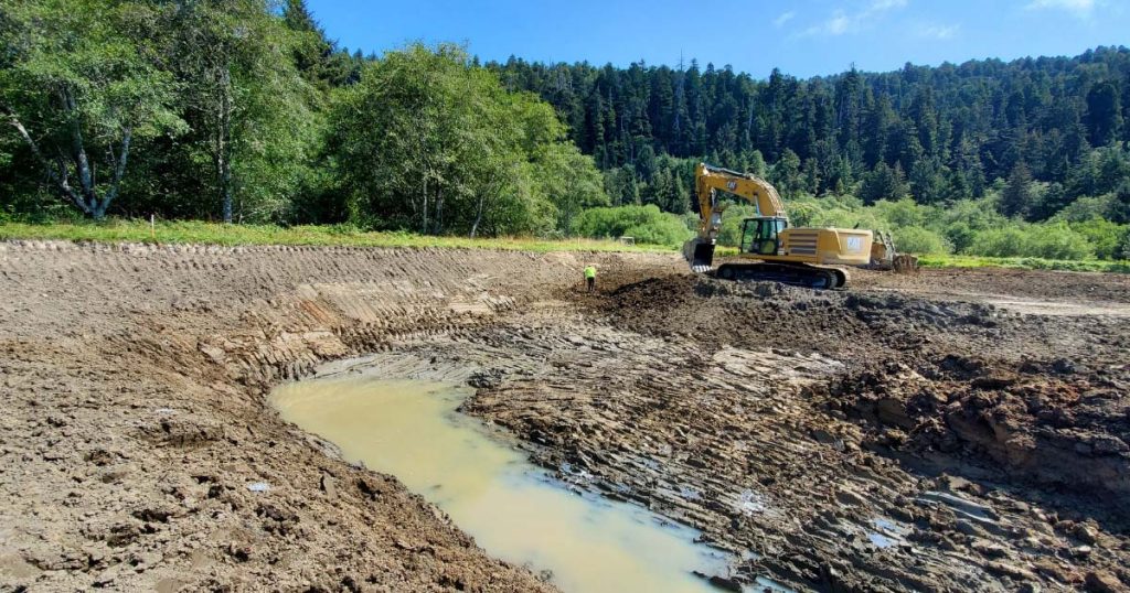 Prairie Creek Floodplain Restoration Enters Second Phase of Construction