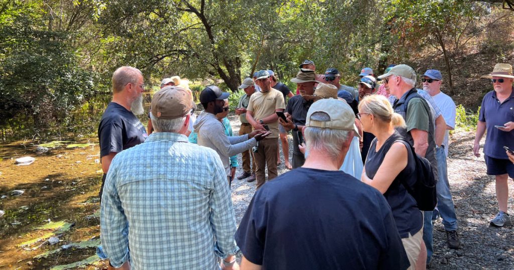 Volunteer-led Fish Monitoring Program Launches for Re-connected Alameda Creek