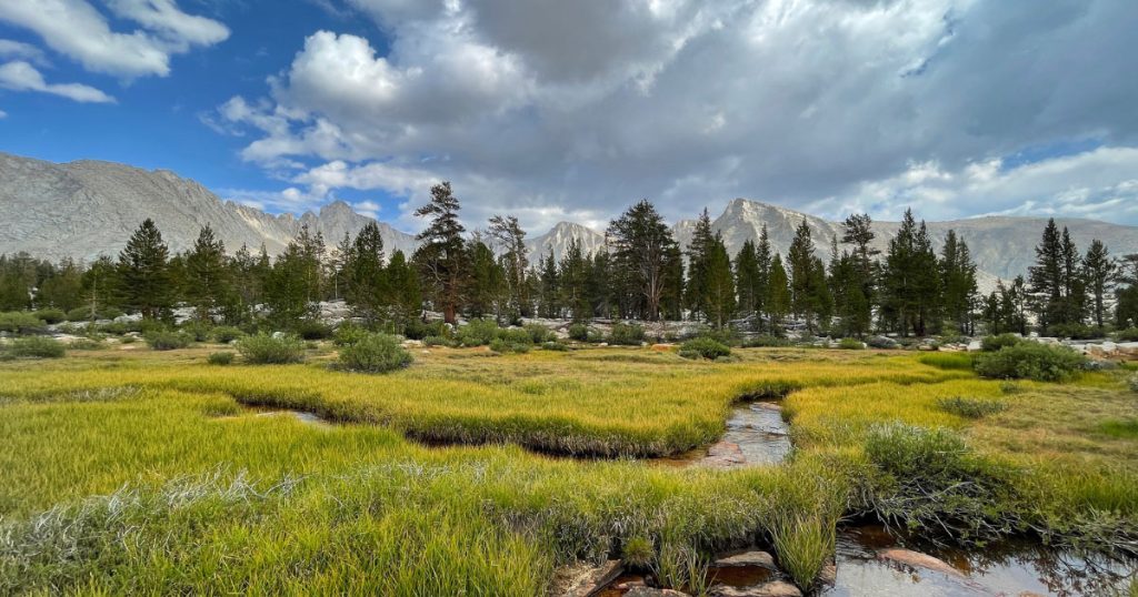 Conserving 30% of CA Land by 2030 using Outstanding Waters Designation
