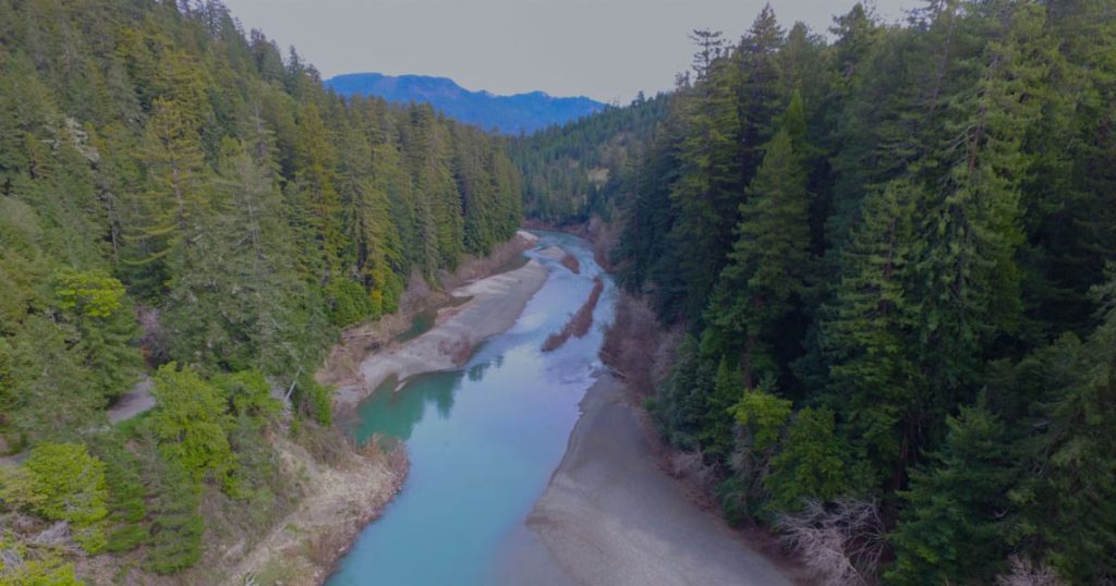 Suppression of Invasive Pikeminnow Populations Could Help Native Eel River Salmonids