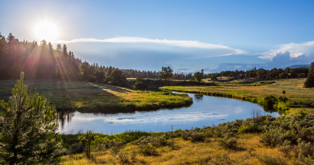 50 Years of Wild Trout Waters