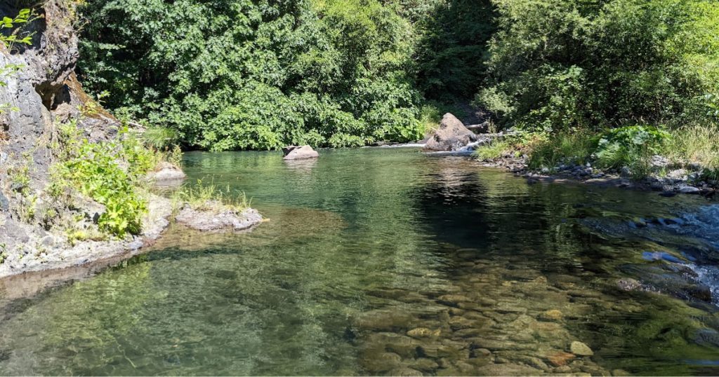Action Alert: Battle Creek Dams