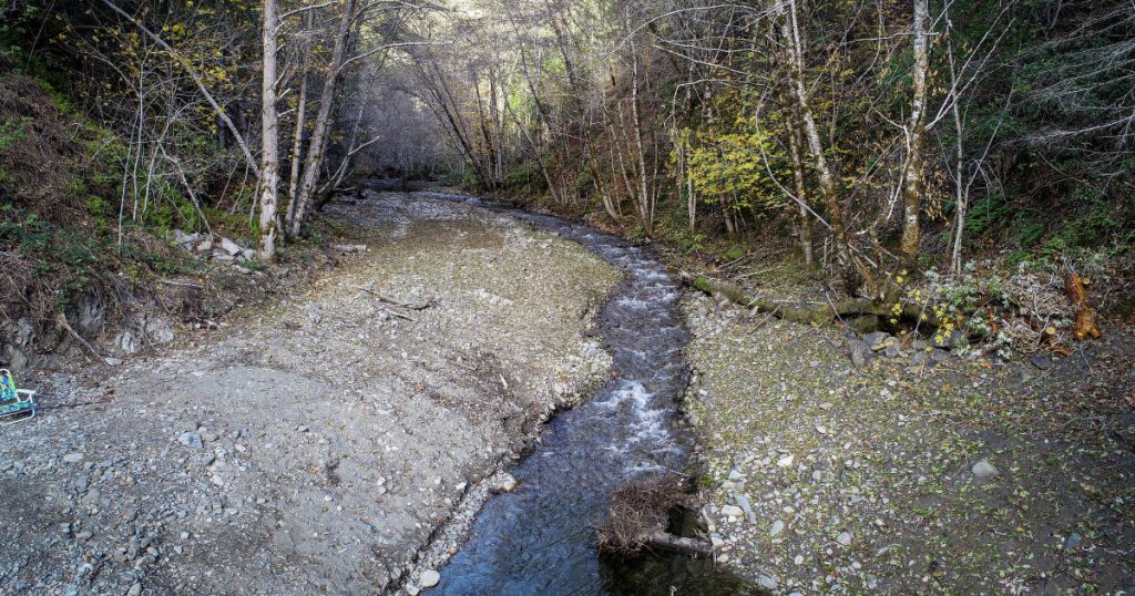 Cold-Water Refuge Unlocked for South Fork Eel River Steelhead and Salmon
