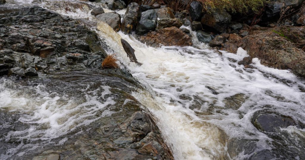 Over $13M Recommended for Funding CalTrout-Led Fish Passage Projects