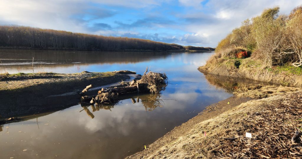 Press Release: Baduwa’t (Mad River) Estuary Restoration and Public Access Project Completed