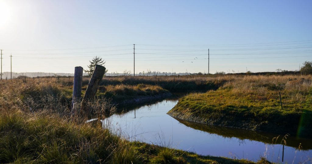 Cochran Creek Restoration Gives Humboldt Bay Fish a Place to Live