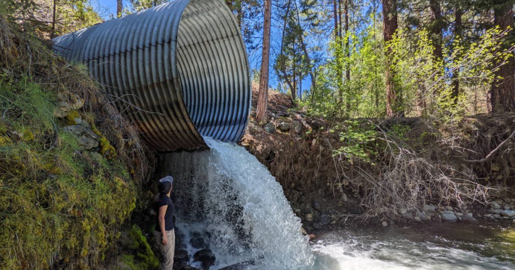 New Restoration Project Kicks off on Scott River Tributary