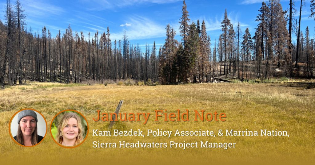 Field Note: Monitoring Sierra Meadows for Soil & Water Indicators of Meadow Health