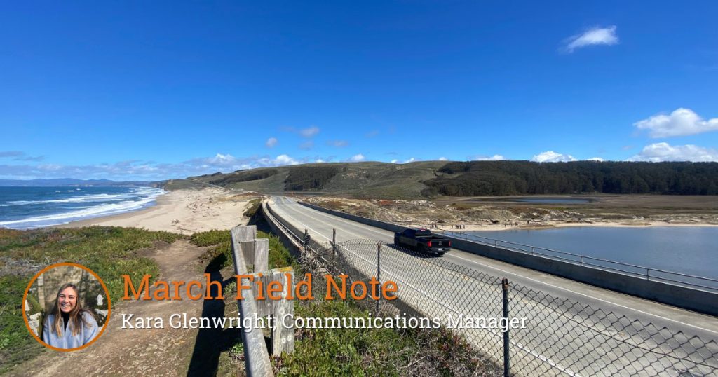 Field Note: Following Fish Migration Up the Pescadero Creek Watershed