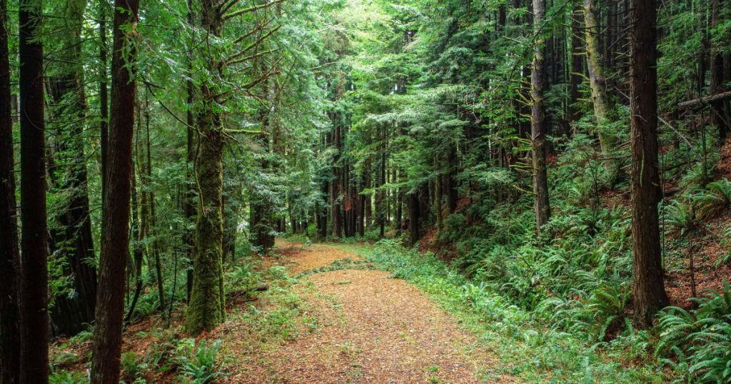 Episode 1: California’s North Coast, with Congressman Huffman