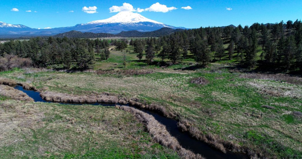 CalTrout Awarded CDFW Funds for Shasta Region Salmon Habitat Restoration and Drought Resiliency Projects