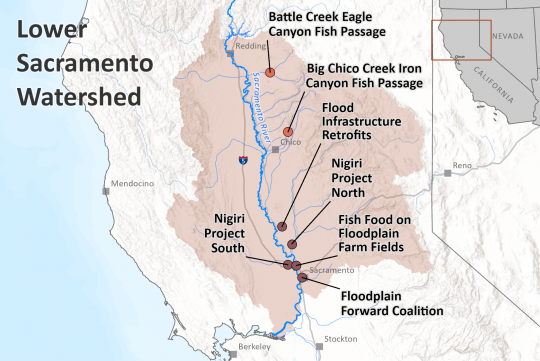 LowerSacBasin_05182023_projectmap