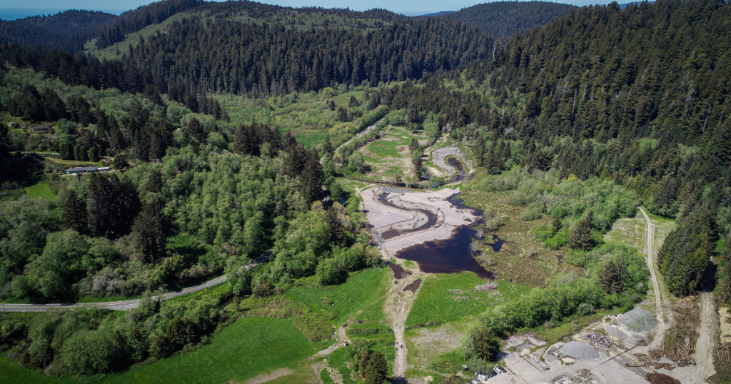 Prairie Creek Floodplain Restoration