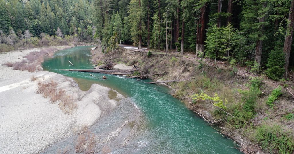 CalTrout Drought Resiliency Projects Receive Support from CDFW