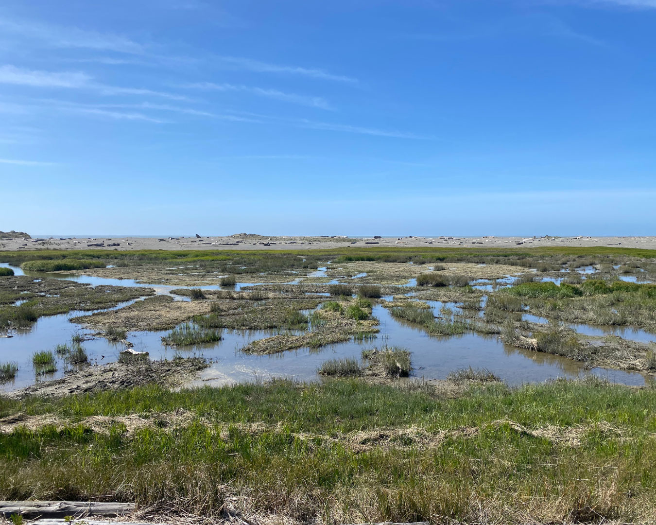 River Offerings – Over The Edge and Beyond: Journal of a Naturalist