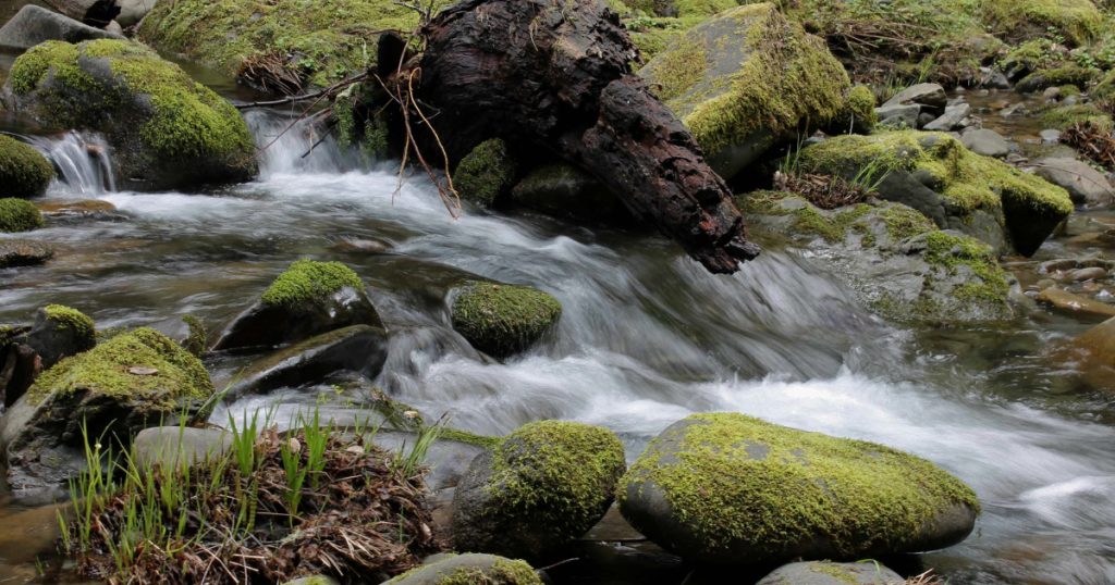 CalTrout Enacts Outstanding Opportunity to Protect South Fork Eel River Tributaries
