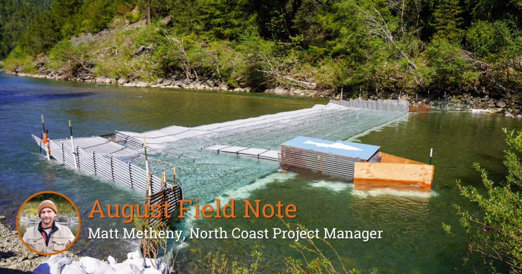 Field Note: A Day of Pikeminnow Suppression