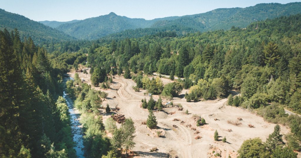 Restoration Amidst the Redwoods Provides Hope for Eel River Salmonids 