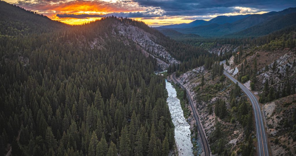 Did You Know Your Car’s Tires Could Be Harming Salmon?
