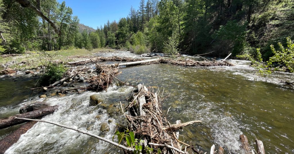 Klamath River Tributary Restoration Gives Salmon A Chance Before – and After – Dam Removal