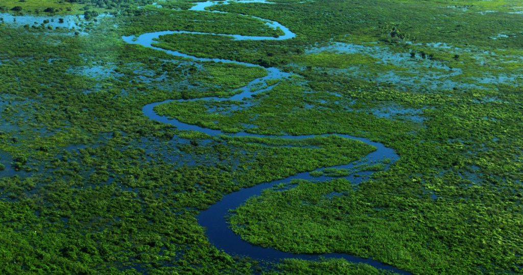 EPA Weakens Protections for Wetlands and Streams