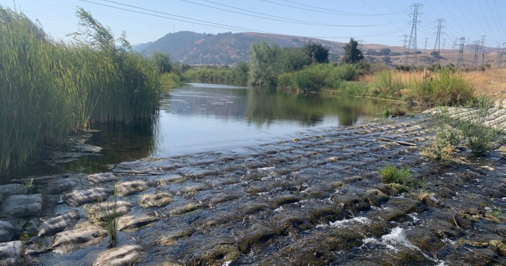 New Project on Alameda Creek will Expand Access for Salmonids