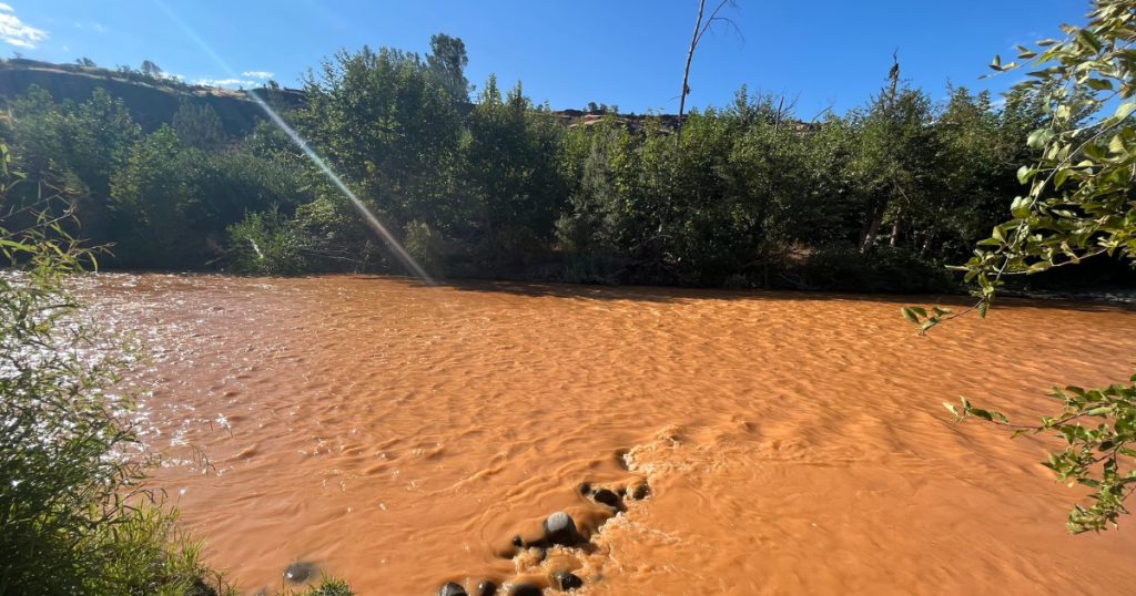 Why Nature’s Infrastructure Works Better Than Ours