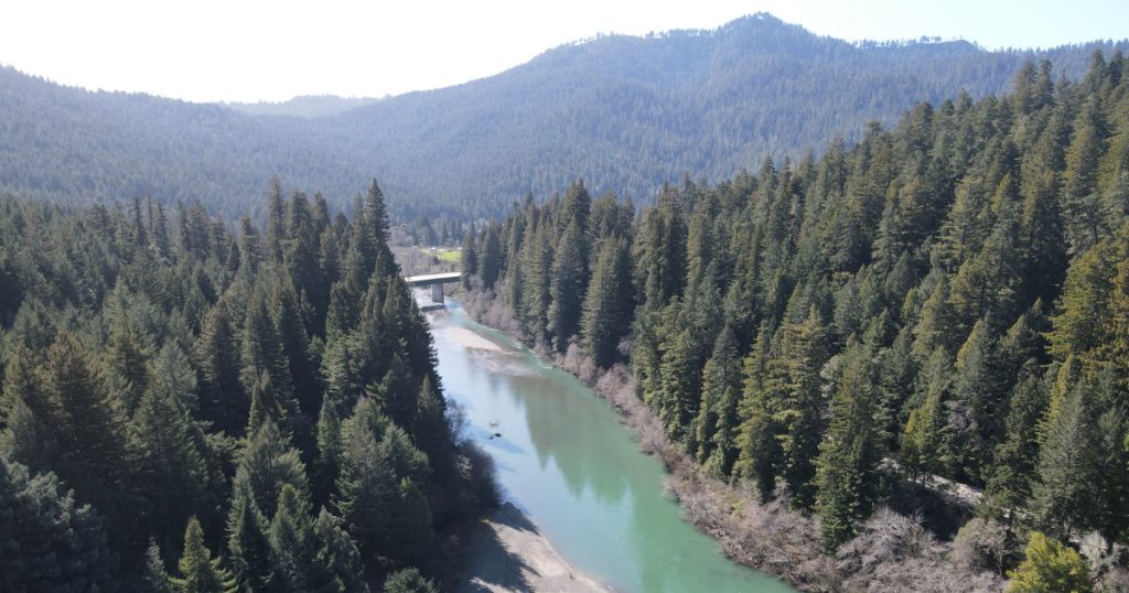 Sonar Technology Provides More Accurate Counts of Eel River Salmonids