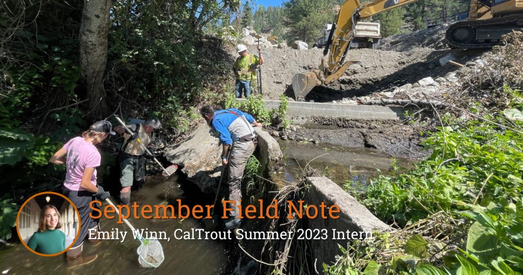 Field Note: Where There is Water, There are Fish