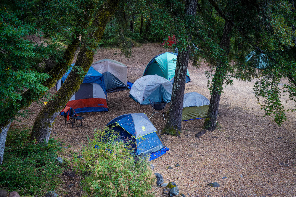 Tents under trees