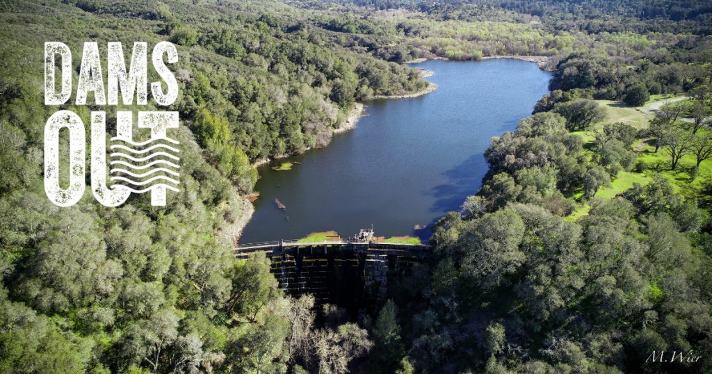 Patagonia’s Holdfast Collective Awards $1 Million for CalTrout Dam Removal Efforts
