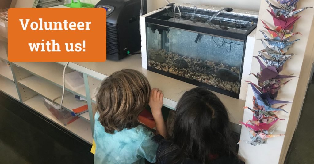 Volunteer with CalTrout’s Trout in the Classroom Program