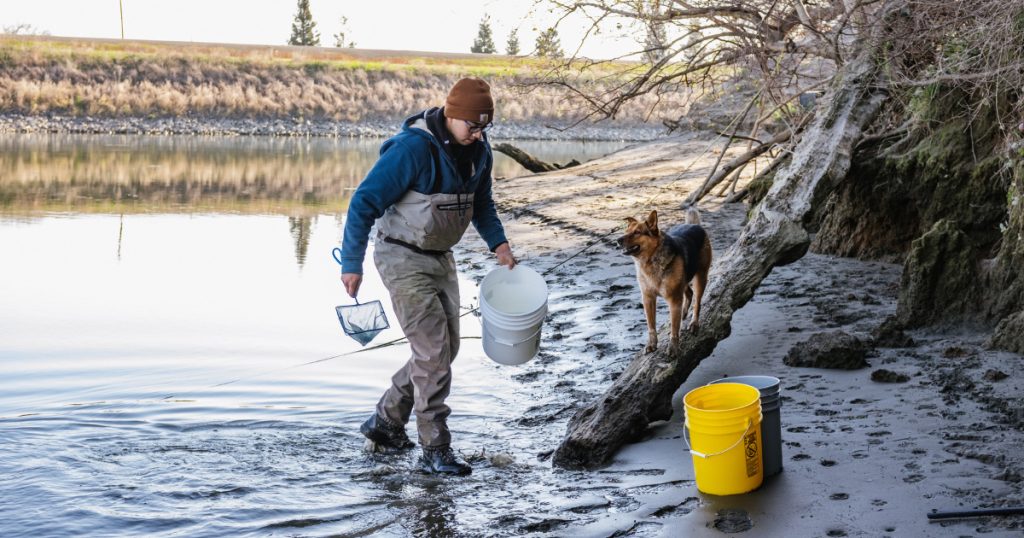 Get to Know the Scientist: Adrian Loera, CalTrout UC Davis Graduate Fellow