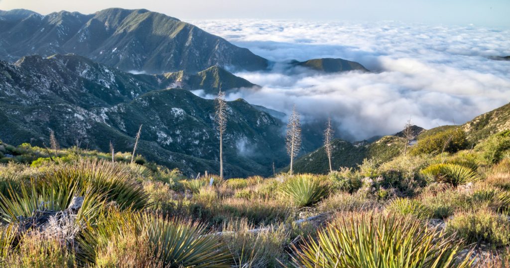 CalTrout Supports San Gabriel Mountains National Monument Expansion