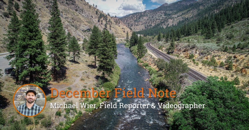 Field Note: Restoration on the Resilient Truckee River