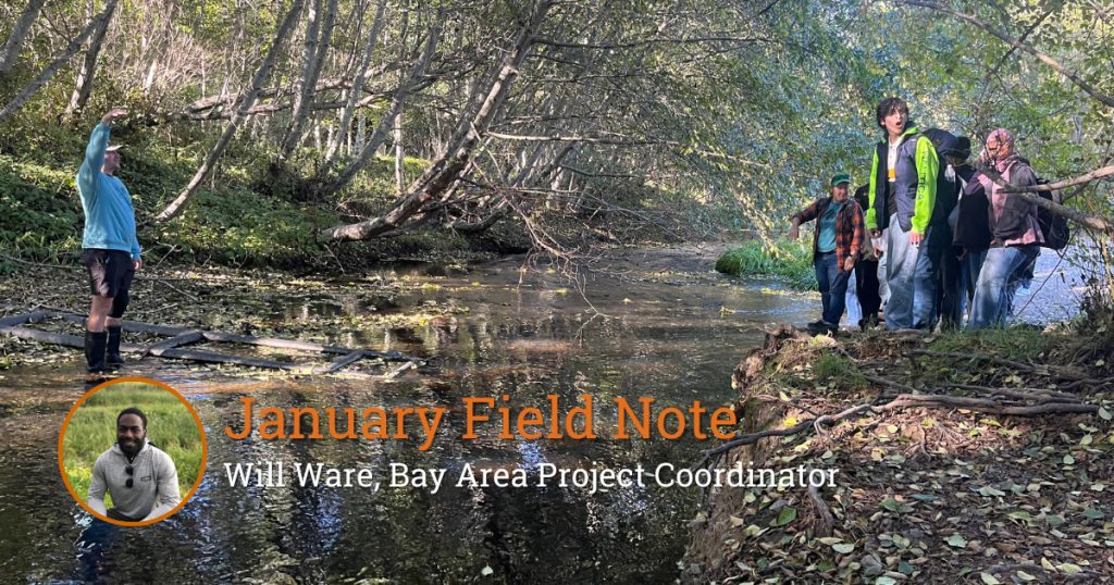 Field Note: Creek Geeking with California Academy of Science Interns