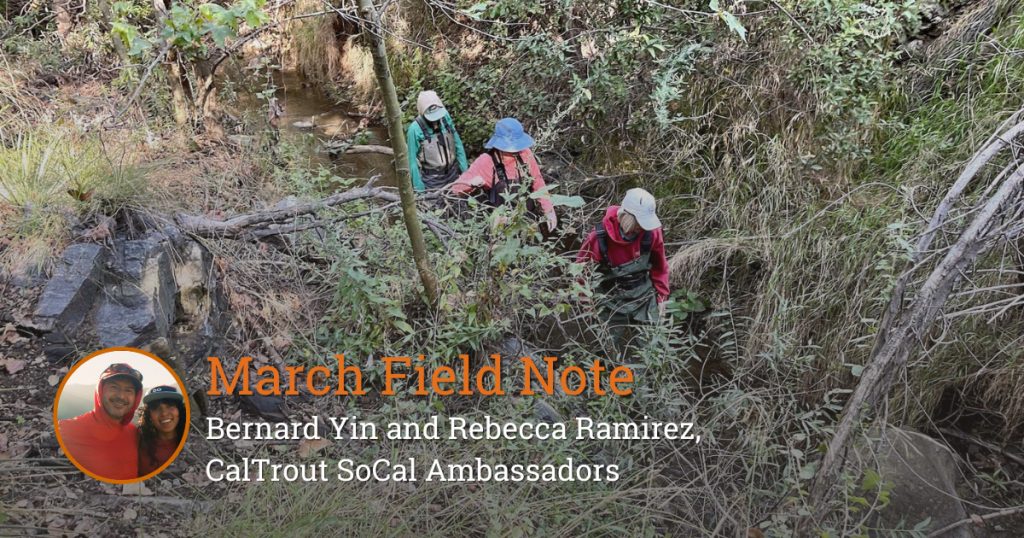 Field Note – Cracking the Code: Tracking Trout Habitat Through Temperature Patterns