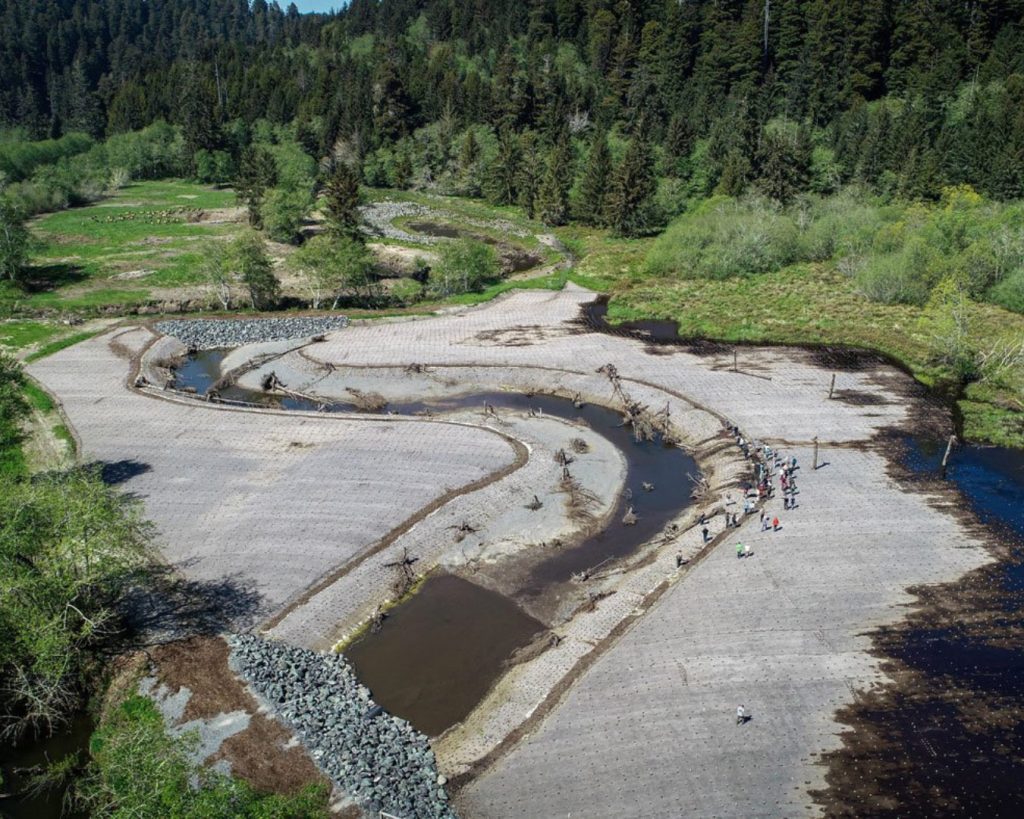 Construction Complete: Prairie Creek Floodplain Restoration at ‘O Rew Marks the Beginning of a New Chapter