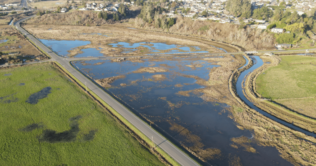 NOAA Announces Funding for CalTrout Restoration Project in Humboldt County, an Investment in Coastal Resilience