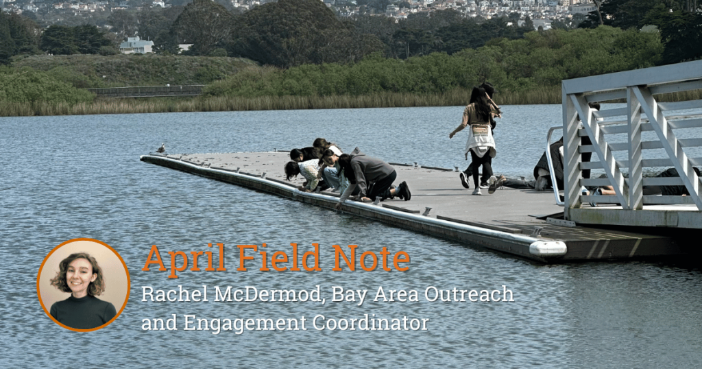 Field Note: Releasing Fry with Trout in the Classroom