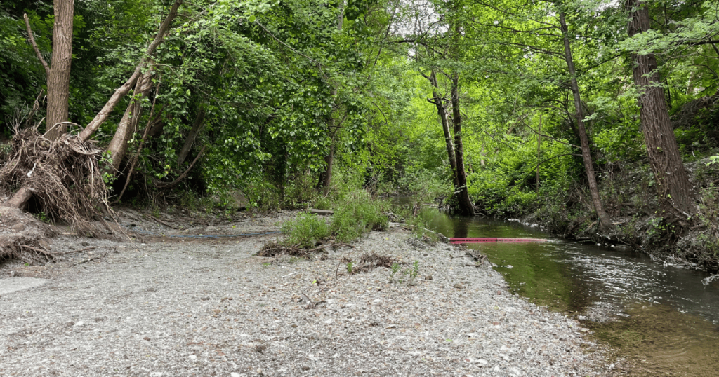 Ghost-Hunting for Salmon and Steelhead in Santa Cruz