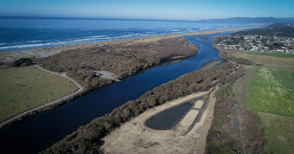 Volunteer with CalTrout at the Lhiwetgut site along the Baduwa’t