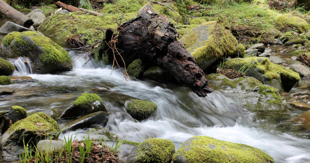 Protecting California’s Waters: Leveraging Outstanding National Resource Waters Designation
