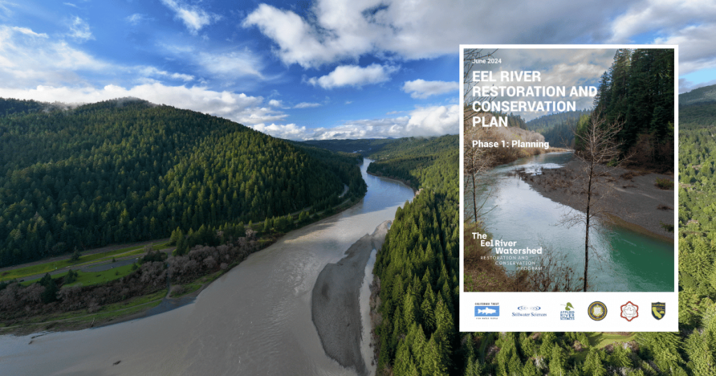 CalTrout and Partners Release Groundbreaking Report to Guide Holistic Eel River Watershed Restoration and Recovery