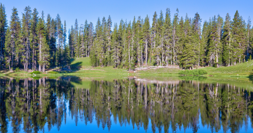 Safeguarding Sáttítla: The Push for a New California National Monument
