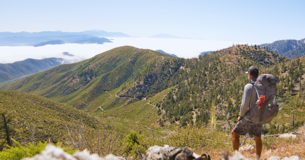 Tideline to Alpine: Continuing to Migrate Like a Southern Steelhead through Southern California