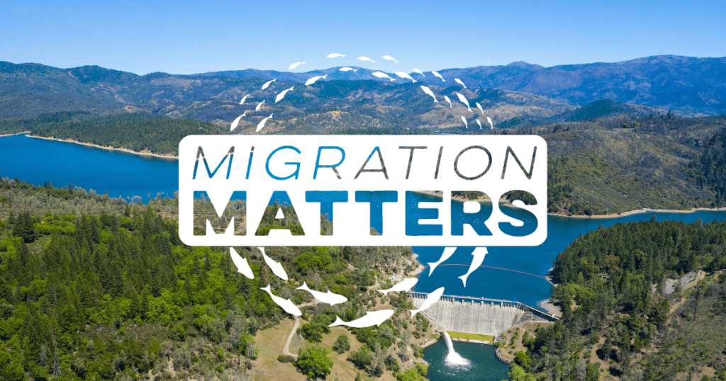 Migration Matters: Breaking Down Barriers to Migration